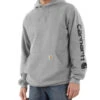 Carhartt Men's Loose Fit Midweight Logo Sleeve Graphic Hooded Sweatshirt - Tall