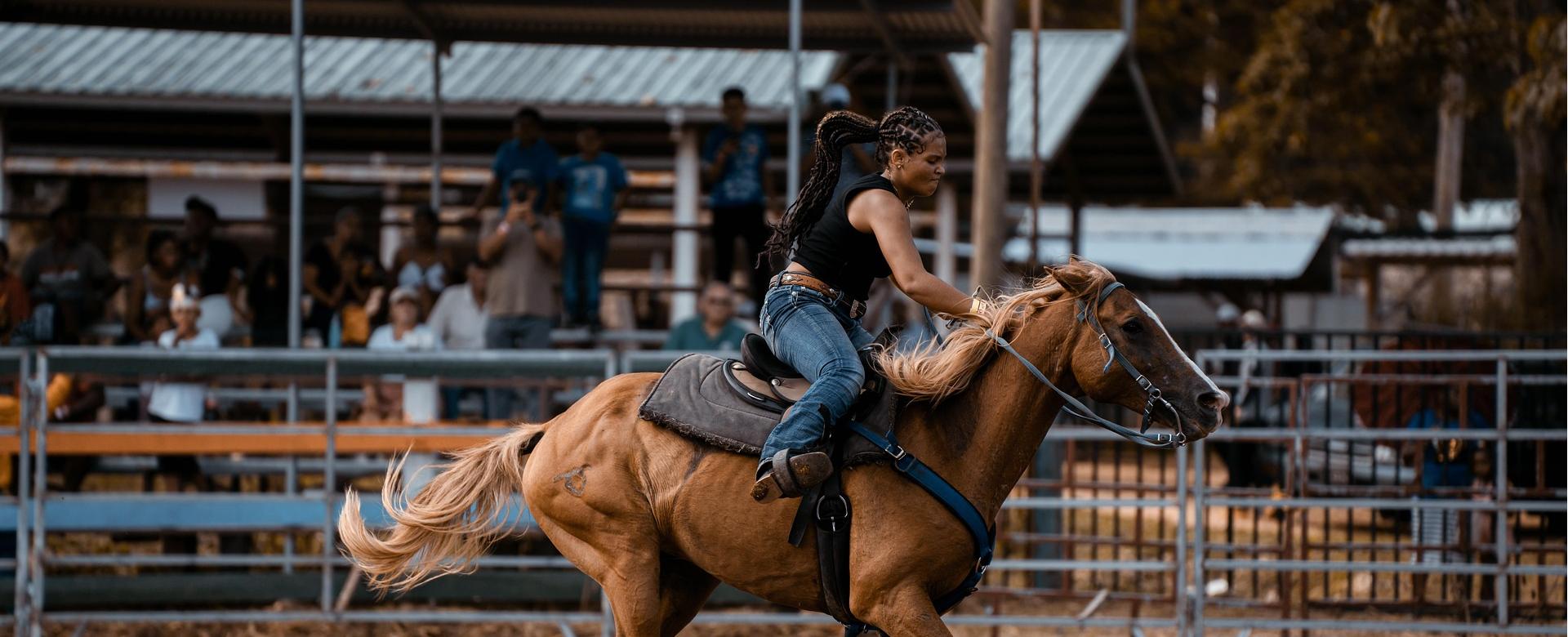 Western Cowboy Equipment Store 17 Western Cowboy Equipment Store -Western Cowboy Equipment Store horse 8209533 1920